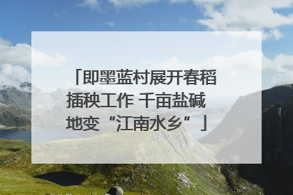 即墨蓝村展开春稻插秧工作 千亩盐碱地变“江南水乡”