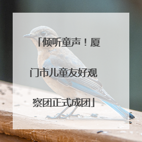 倾听童声！厦门市儿童友好观察团正式成团