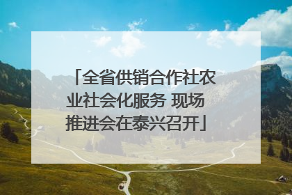 全省供销合作社农业社会化服务 现场推进会在泰兴召开