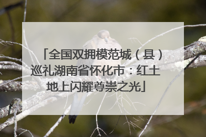 全国双拥模范城（县）巡礼湖南省怀化市：红土地上闪耀尊崇之光