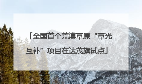 全国首个荒漠草原“草光互补”项目在达茂旗试点