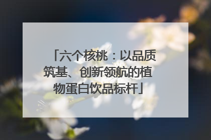 六个核桃：以品质筑基、创新领航的植物蛋白饮品标杆