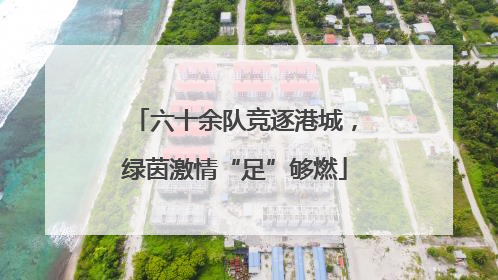 六十余队竞逐港城，绿茵激情“足”够燃