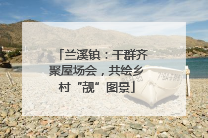 兰溪镇：干群齐聚屋场会，共绘乡村“靓”图景