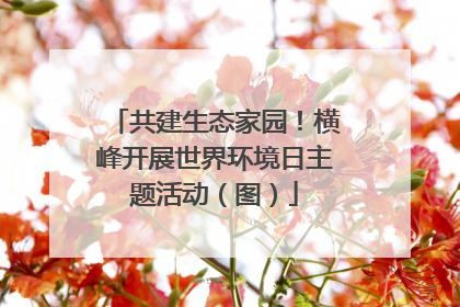 共建生态家园！横峰开展世界环境日主题活动（图）