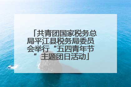 共青团国家税务总局平江县税务局委员会举行“五四青年节”主题团日活动