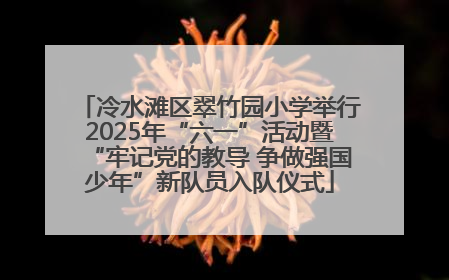 冷水滩区翠竹园小学举行2025年“六一”活动暨“牢记党的教导 争做强国少年”新队员入队仪式