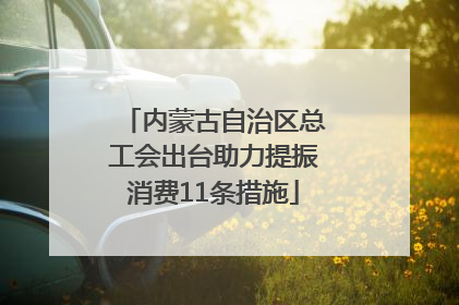内蒙古自治区总工会出台助力提振消费11条措施