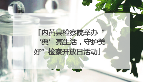 内黄县检察院举办“‘典’亮生活，守护美好”检察开放日活动