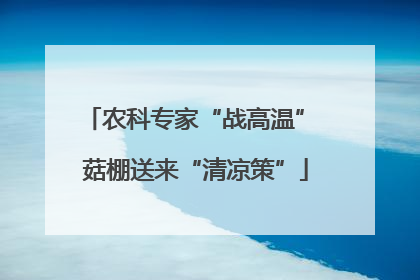 农科专家“战高温” 菇棚送来“清凉策”