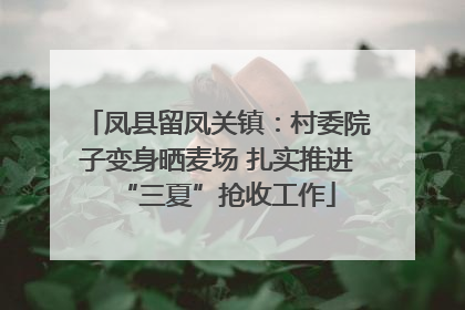 凤县留凤关镇：村委院子变身晒麦场 扎实推进“三夏”抢收工作