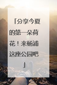 分享今夏的第一朵荷花！来杨浦这座公园吧
