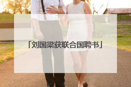 刘国梁获联合国聘书