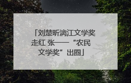 刘楚昕漓江文学奖走红 张一一“农民文学奖”出圈