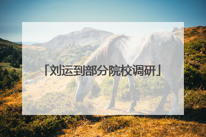 刘运到部分院校调研