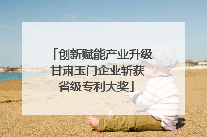 创新赋能产业升级 甘肃玉门企业斩获省级专利大奖