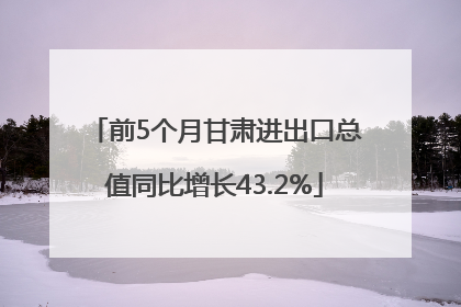 前5个月甘肃进出口总值同比增长43.2%
