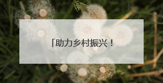 助力乡村振兴！云南打造家门口就业圈（一）
