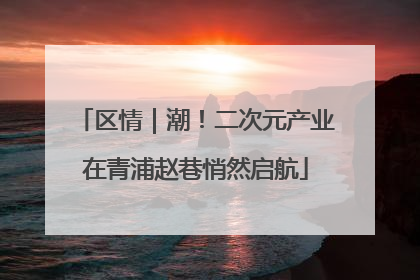 区情｜潮！二次元产业在青浦赵巷悄然启航