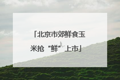 北京市郊鲜食玉米抢“鲜”上市