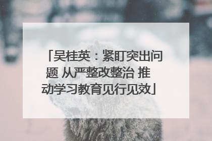吴桂英：紧盯突出问题 从严整改整治 推动学习教育见行见效