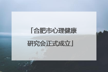 合肥市心理健康研究会正式成立