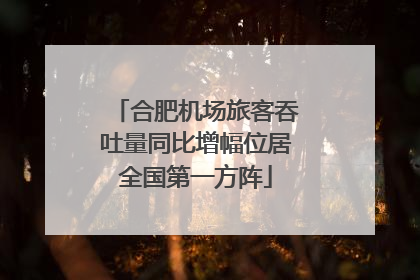 合肥机场旅客吞吐量同比增幅位居全国第一方阵
