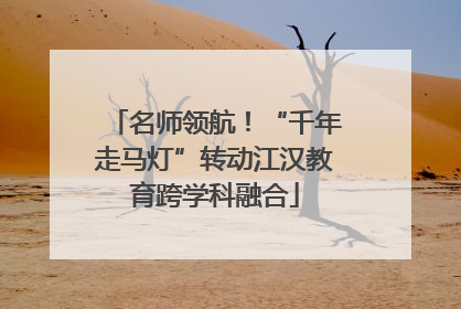 名师领航！“千年走马灯”转动江汉教育跨学科融合