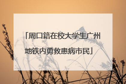 周口籍在校大学生广州地铁内勇救患病市民