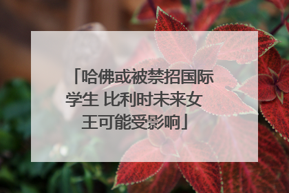 哈佛或被禁招国际学生 比利时未来女王可能受影响