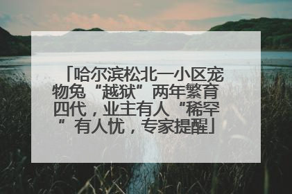 哈尔滨松北一小区宠物兔“越狱”两年繁育四代，业主有人“稀罕”有人忧，专家提醒