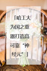哈工大为国之重器打造高可靠“神经元”