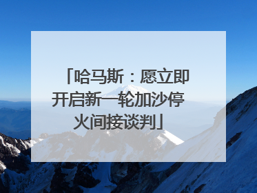 哈马斯：愿立即开启新一轮加沙停火间接谈判