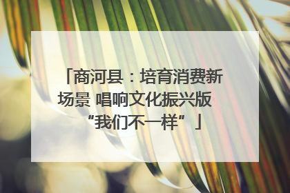 商河县：培育消费新场景 唱响文化振兴版“我们不一样”