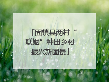 固镇县两村“联姻”种出乡村振兴新图景