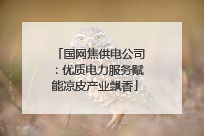国网焦供电公司：优质电力服务赋能凉皮产业飘香