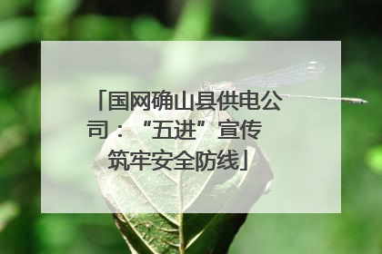 国网确山县供电公司：“五进”宣传 筑牢安全防线