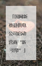 国网新蔡县供电公司启动营商“新引擎”
