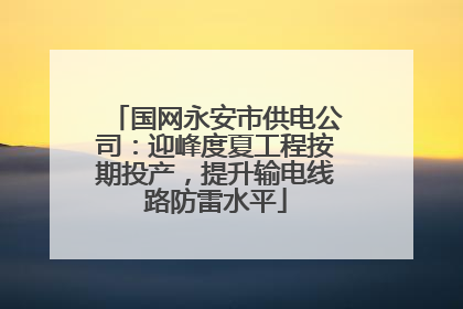 国网永安市供电公司：迎峰度夏工程按期投产，提升输电线路防雷水平