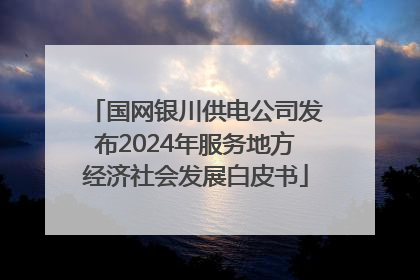 国网银川供电公司发布2024年服务地方经济社会发展白皮书