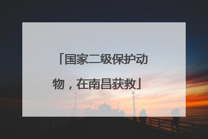 国家二级保护动物，在南昌获救