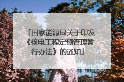 国家能源局关于印发《核电工程定额管理暂行办法》的通知