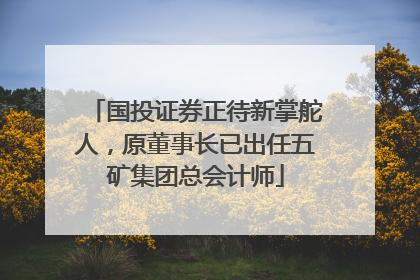 国投证券正待新掌舵人，原董事长已出任五矿集团总会计师