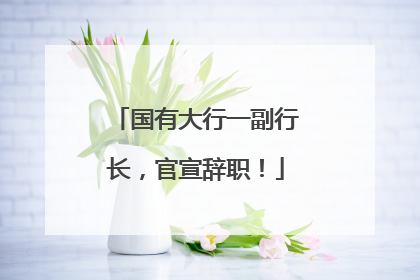 国有大行一副行长，官宣辞职！