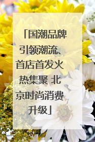 国潮品牌引领潮流、首店首发火热集聚 北京时尚消费升级