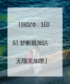国足0∶1印尼 梦断雅加达 无缘美加墨