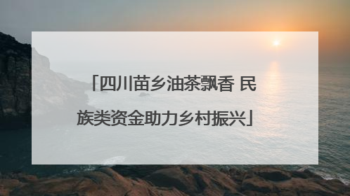 四川苗乡油茶飘香 民族类资金助力乡村振兴