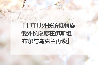 土耳其外长访俄斡旋 俄外长说愿在伊斯坦布尔与乌克兰再谈