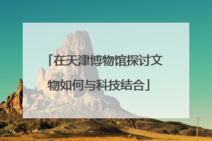 在天津博物馆探讨文物如何与科技结合