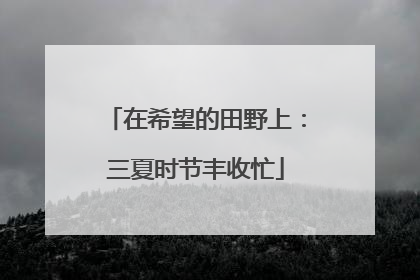 在希望的田野上：三夏时节丰收忙